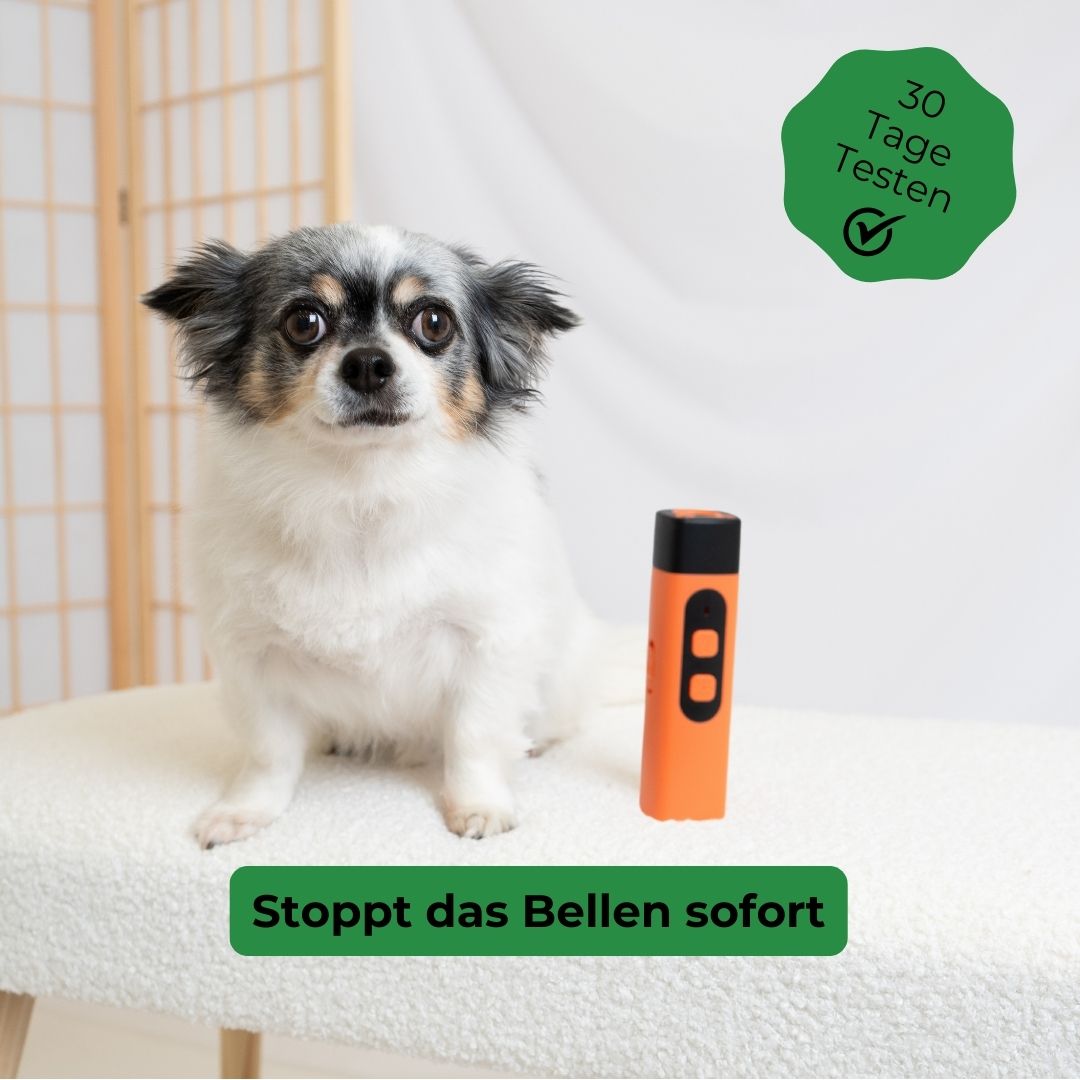 BellStop Pro